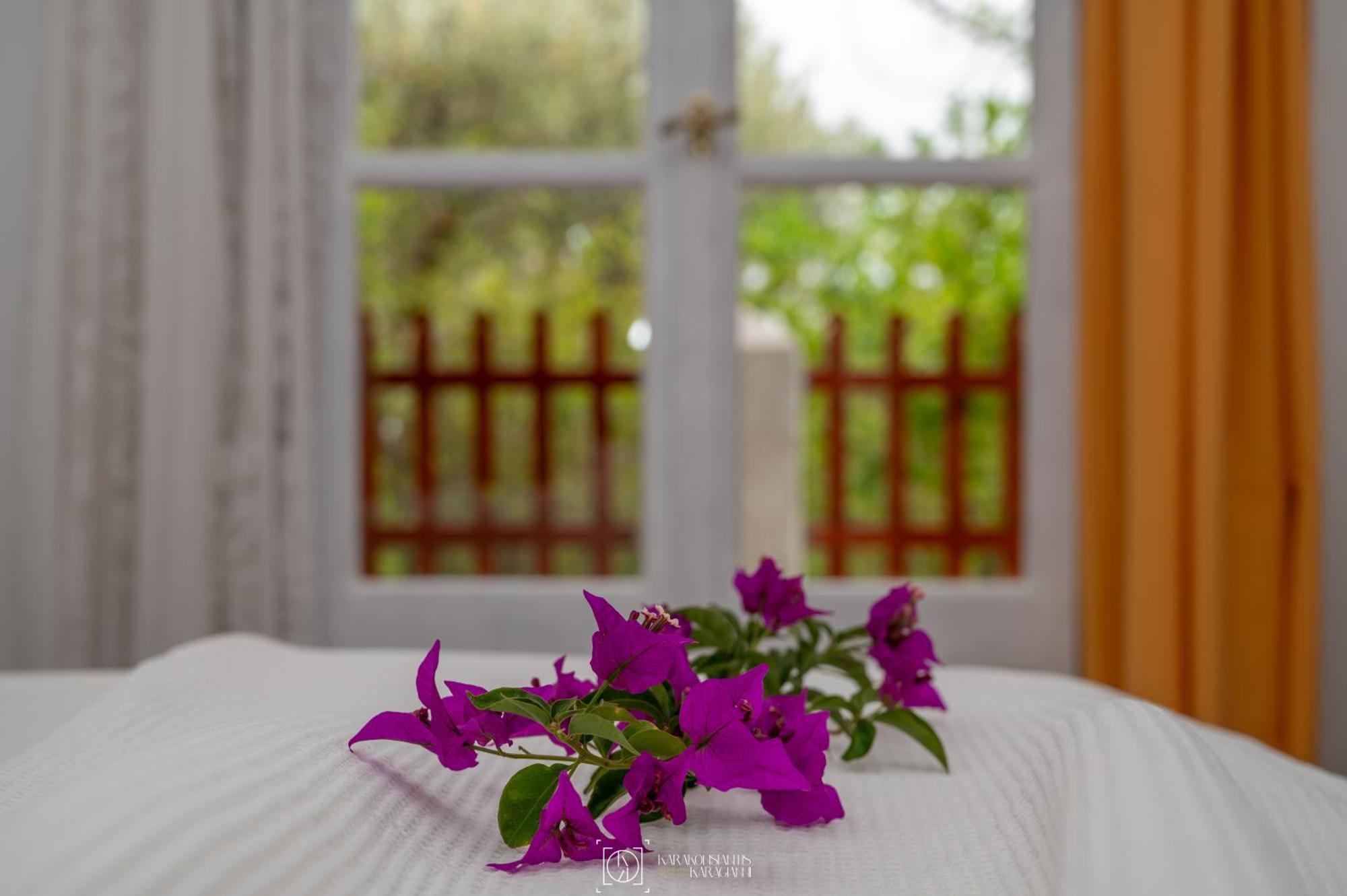 Pleiades Samos Apartment Marathókampos Екстериор снимка